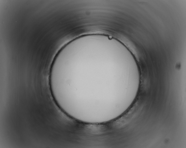 X0000103970805200809261833