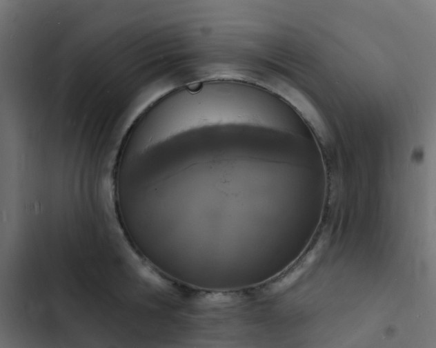 X0000103970806200809261833