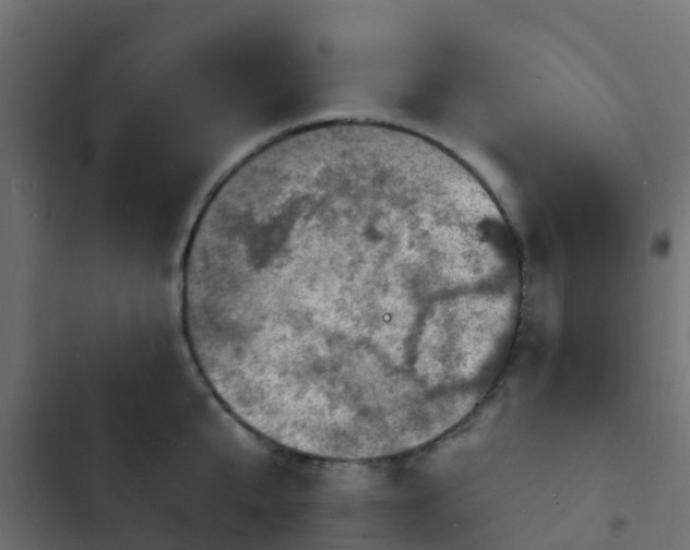 X0000103970807200809261833