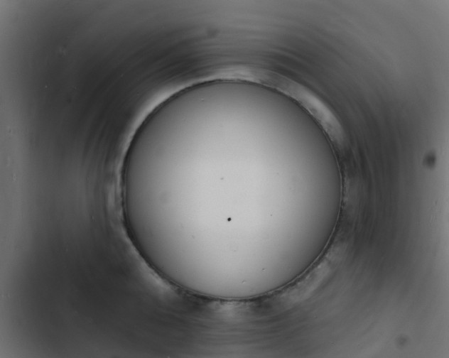 X0000103970808200809261833