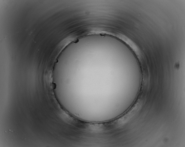 X0000103970809200809261833