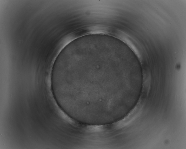 X0000103970810200809261833