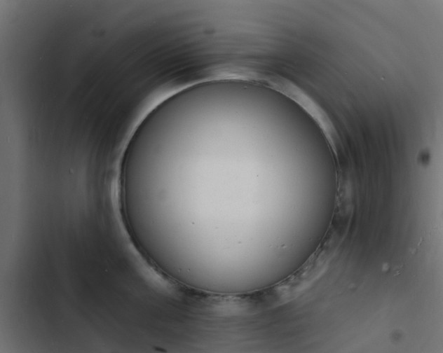 X0000103970811200809261833