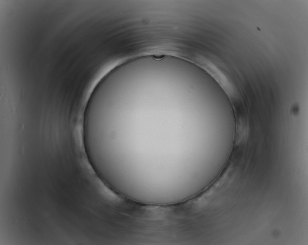 X0000103970812200809261833