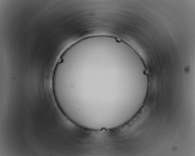 X0000103970813200809261833