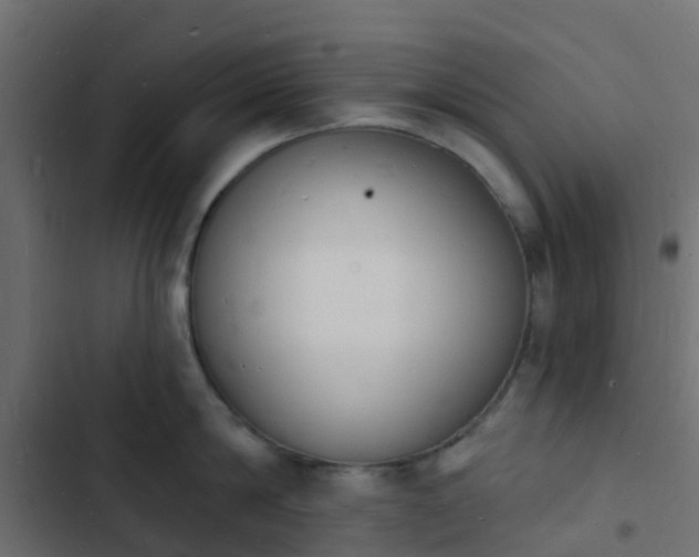 X0000103970814200809261833