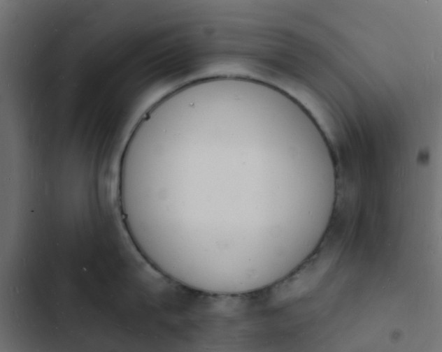 X0000103970815200809261833