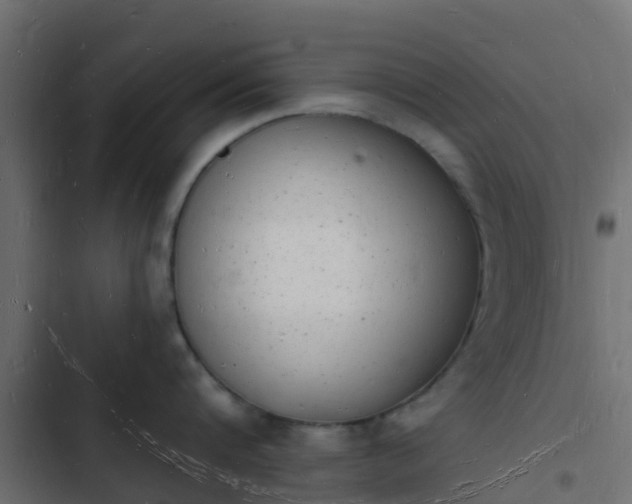 X0000103970816200809261833