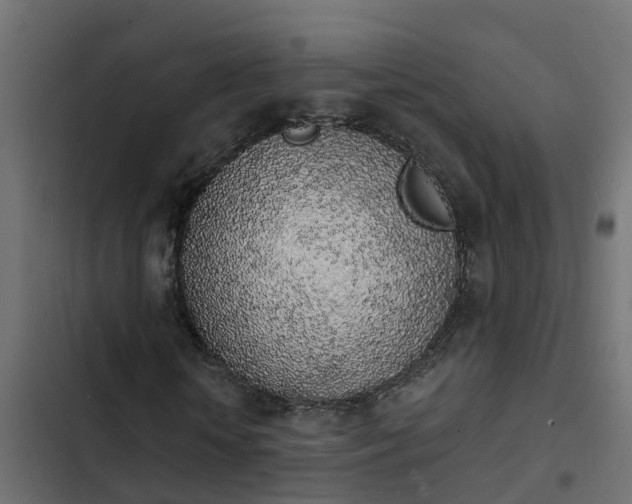 X0000103970818200809261832