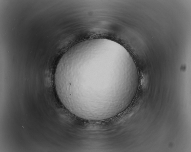 X0000103970819200809261832