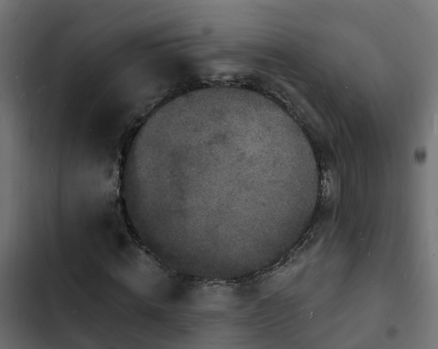 X0000103970820200809261832