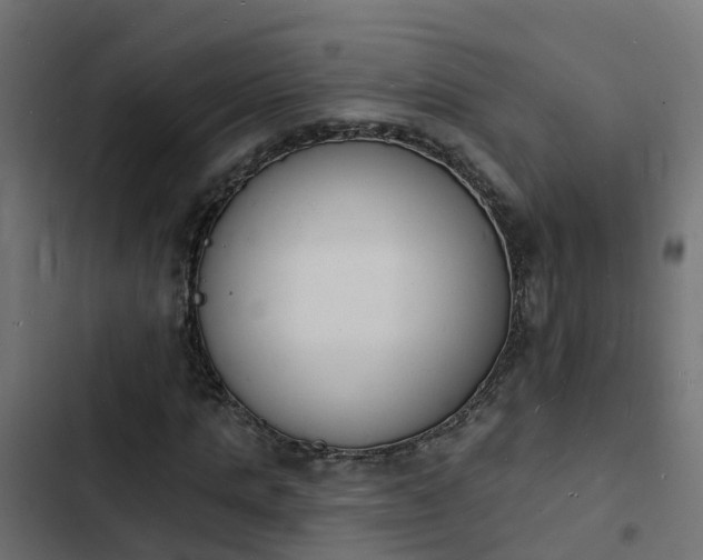 X0000103970821200809261832