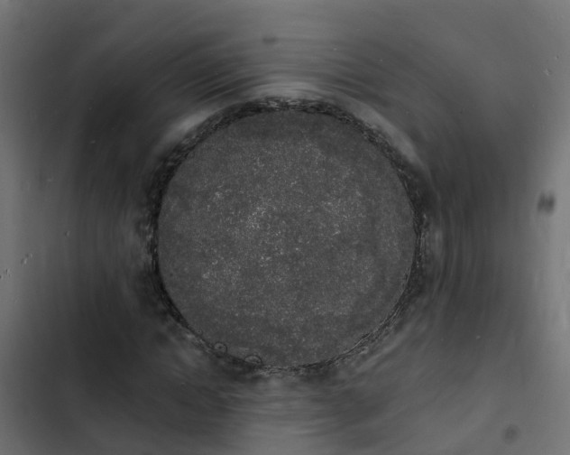 X0000103970822200809261832