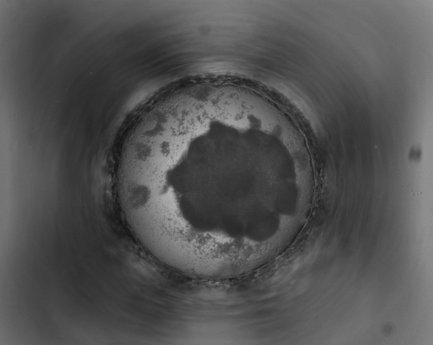 X0000103970823200809261832