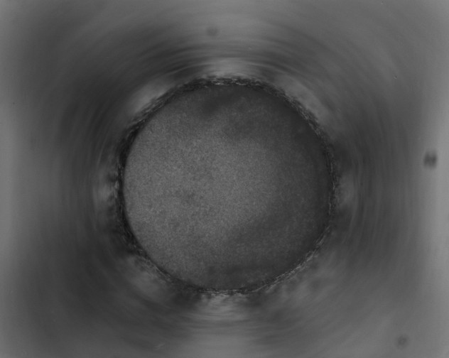 X0000103970824200809261832