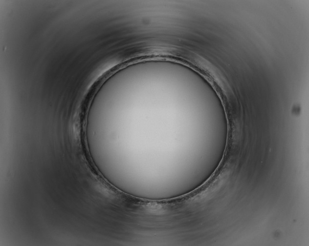 X0000103970827200809261832