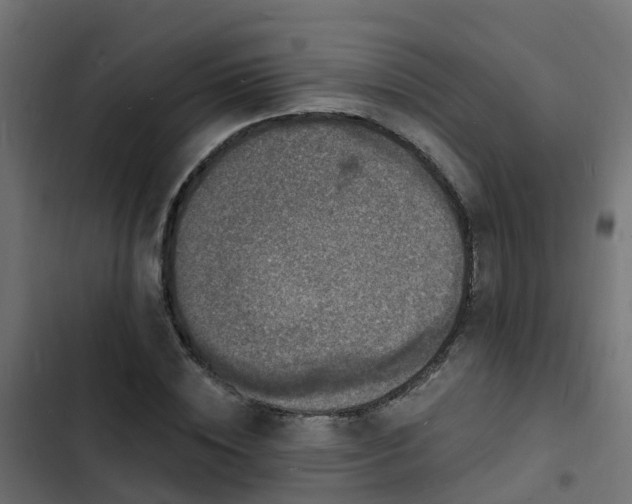 X0000103970828200809261832