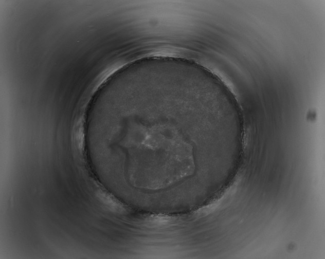 X0000103970829200809261832