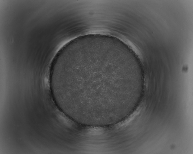 X0000103970830200809261832