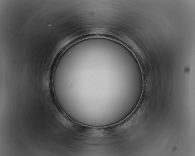 X0000103970831200809261832