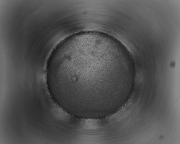 X0000103970832200809261832