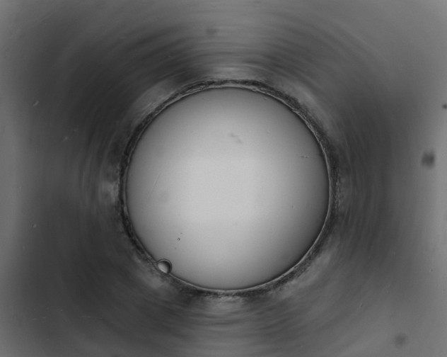 X0000103970833200809261832