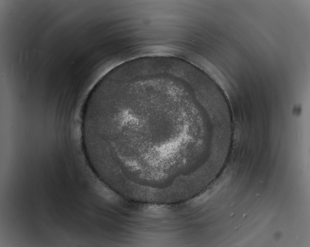 X0000103970835200809261832