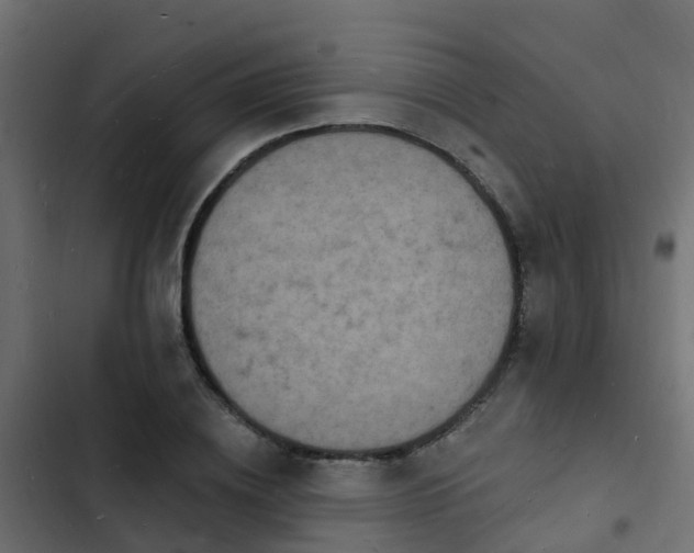 X0000103970836200809261832