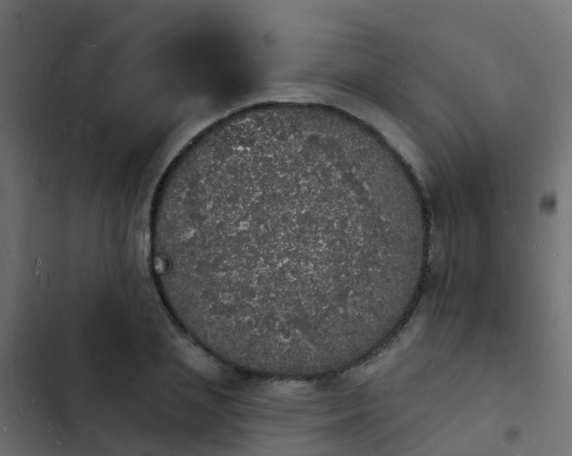 X0000103970837200809261832