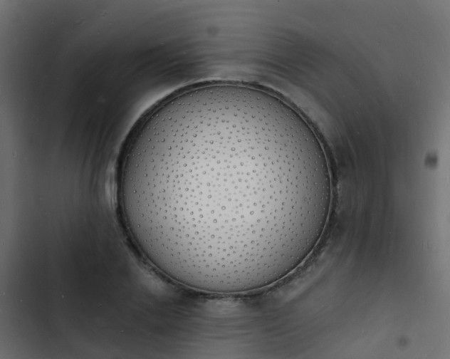 X0000103970838200809261832