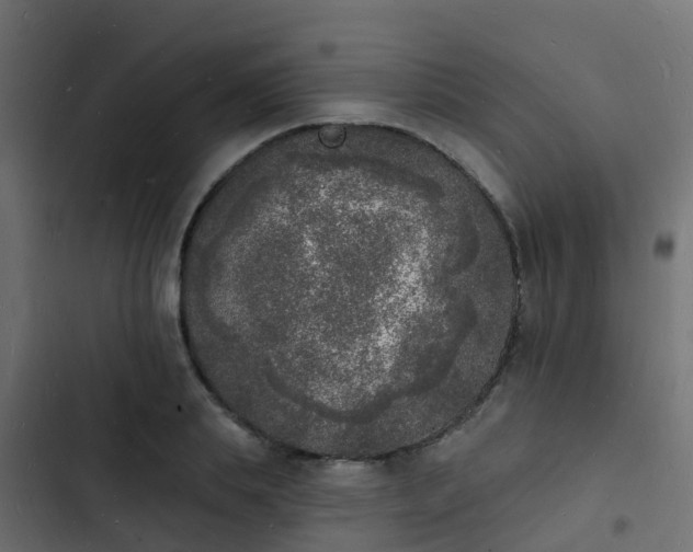 X0000103970839200809261832