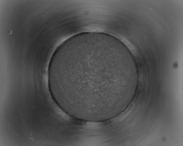 X0000103970840200809261832