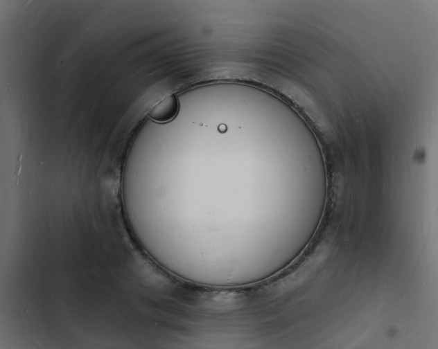 X0000103970841200809261832