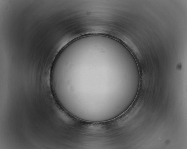 X0000103970842200809261832