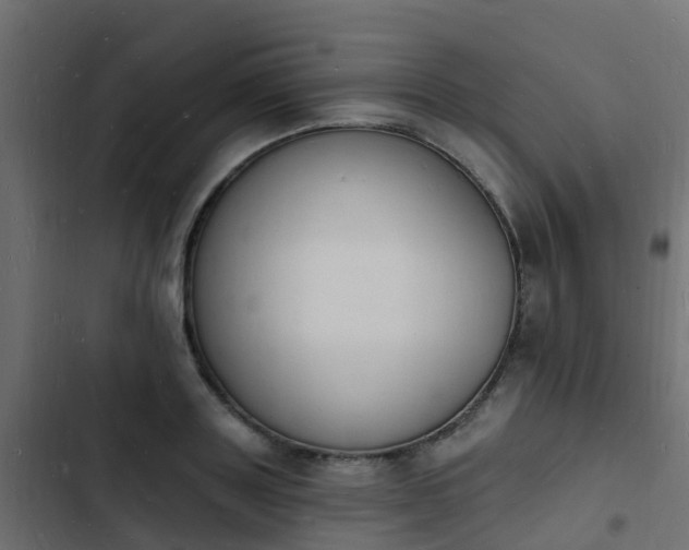 X0000103970843200809261832