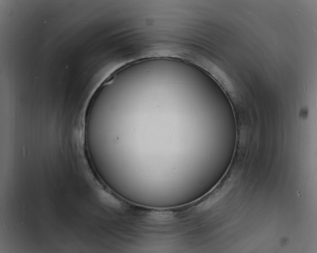 X0000103970844200809261832