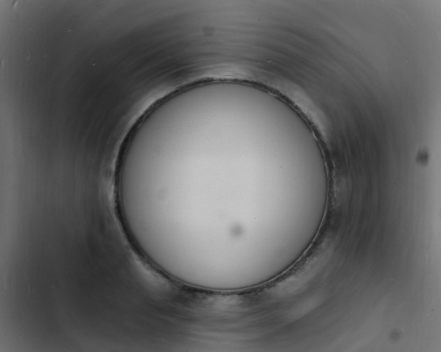 X0000103970845200809261832