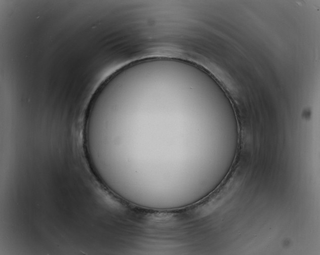 X0000103970846200809261832