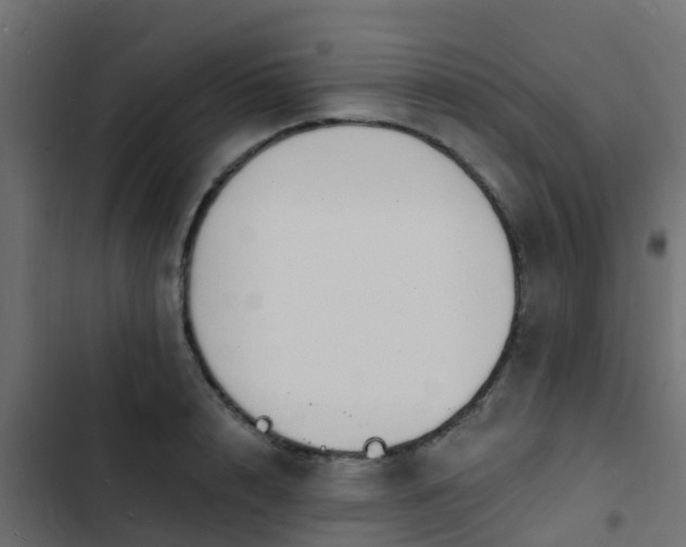 X0000103970848200809261832