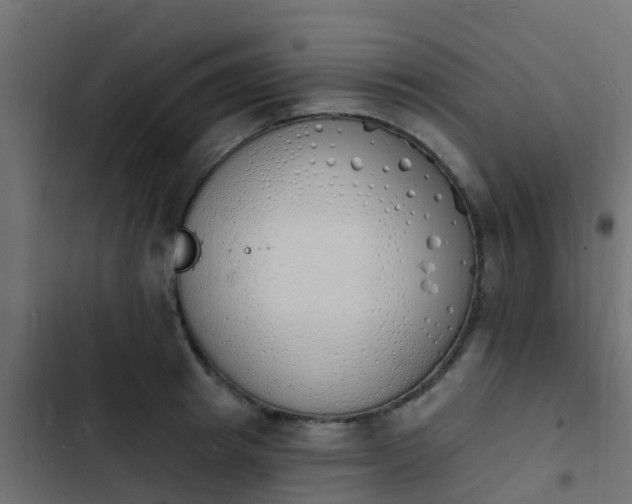 X0000103970849200809261832