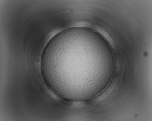 X0000103970850200809261832