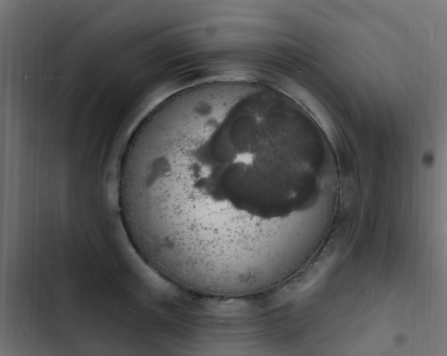 X0000103970851200809261832