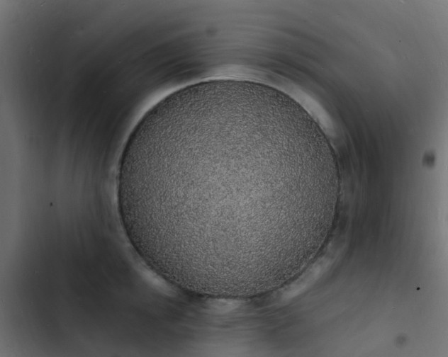 X0000103970854200809261832