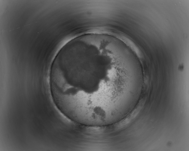 X0000103970855200809261832