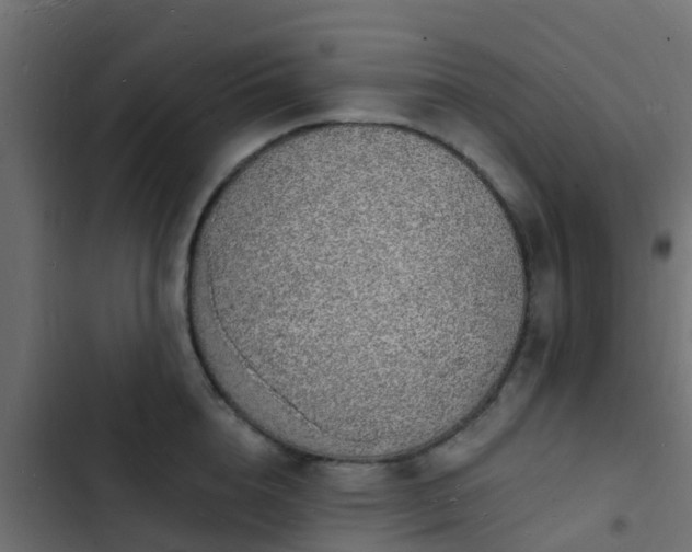 X0000103970856200809261832