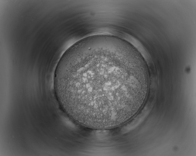 X0000103970858200809261832