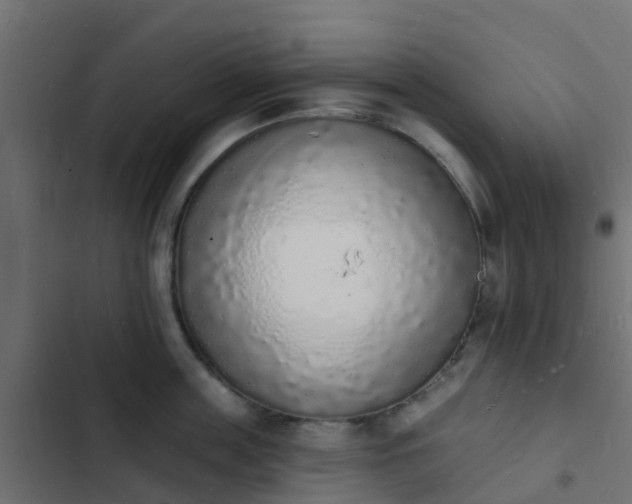 X0000103970859200809261832