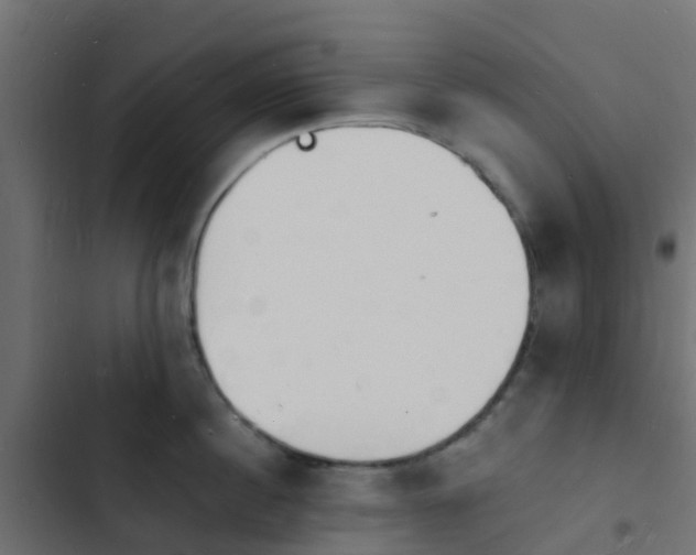 X0000103970860200809261832