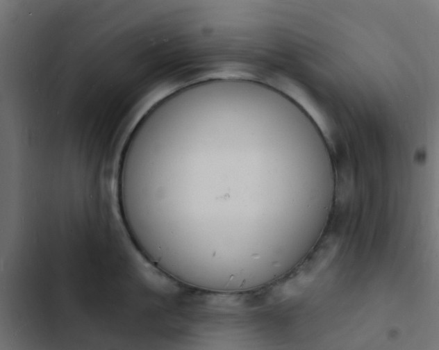 X0000103970861200809261832