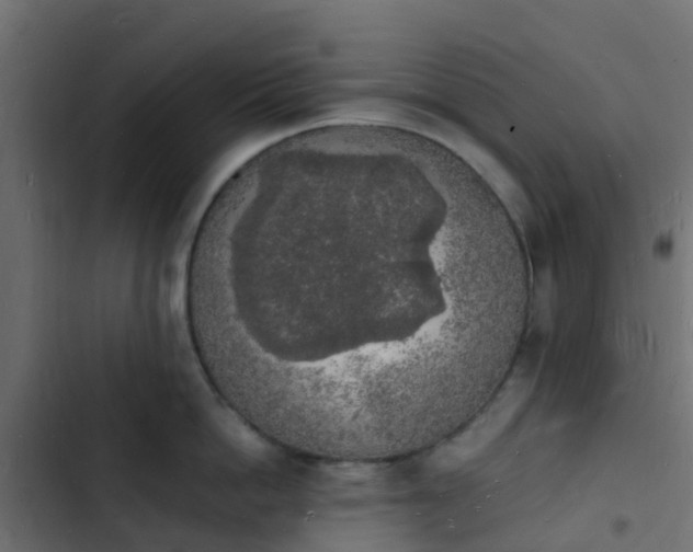 X0000103970862200809261832